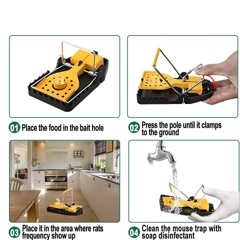 Universal Humane Mouse Capture Trap Set of Four