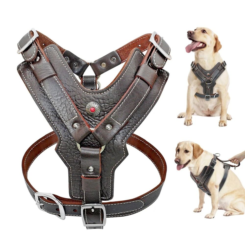Durable Leather Dog Training Harness with Control Handle for Large Dogs
