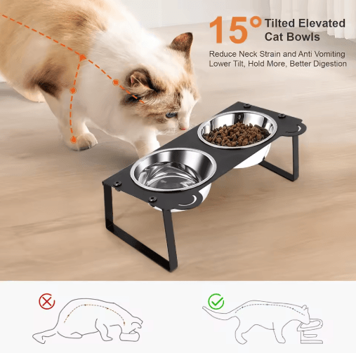 15° Tilted Elevated Cat Feeder with Double Stainless Steel Cat Bowls & Cute Metal Stand