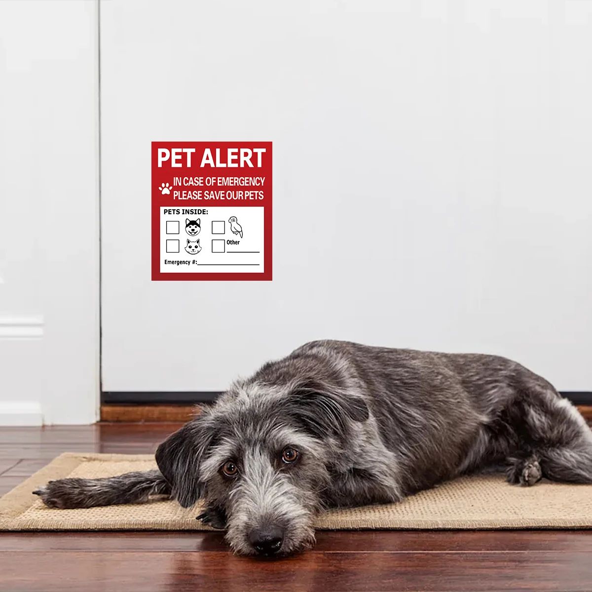 Pet Alert Emergency Window Sticker Set