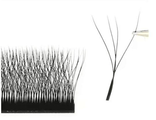 MARIA 4D W Shaped Beam Lash Extensions Easy Fan Russian Volume Clusters