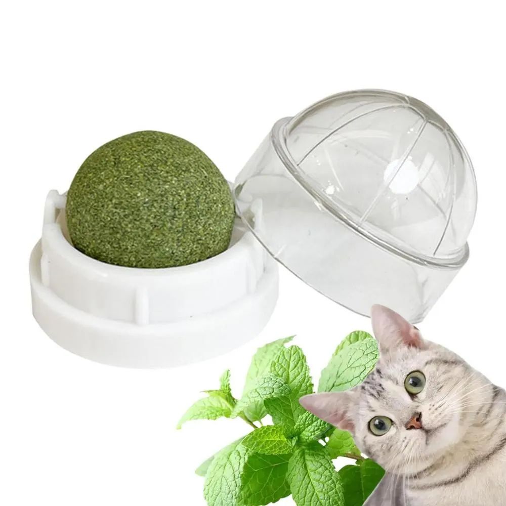 Rotatable Catnip Wall Ball Toy Teeth Cleaning Licking Snack