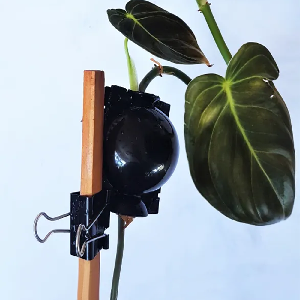 Plant Root Growing Box