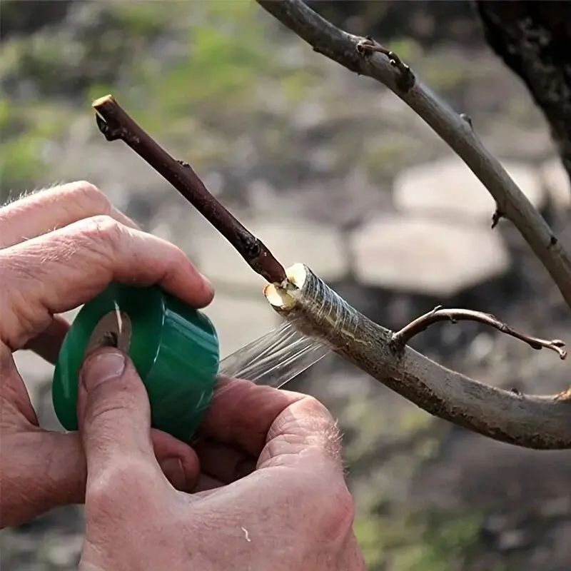 Stretchable Grafting Tape Film for Plants, Self-Adhesive PE Garden Tree Budding Wrap for Tomato, Vine, Seedling & Fruit