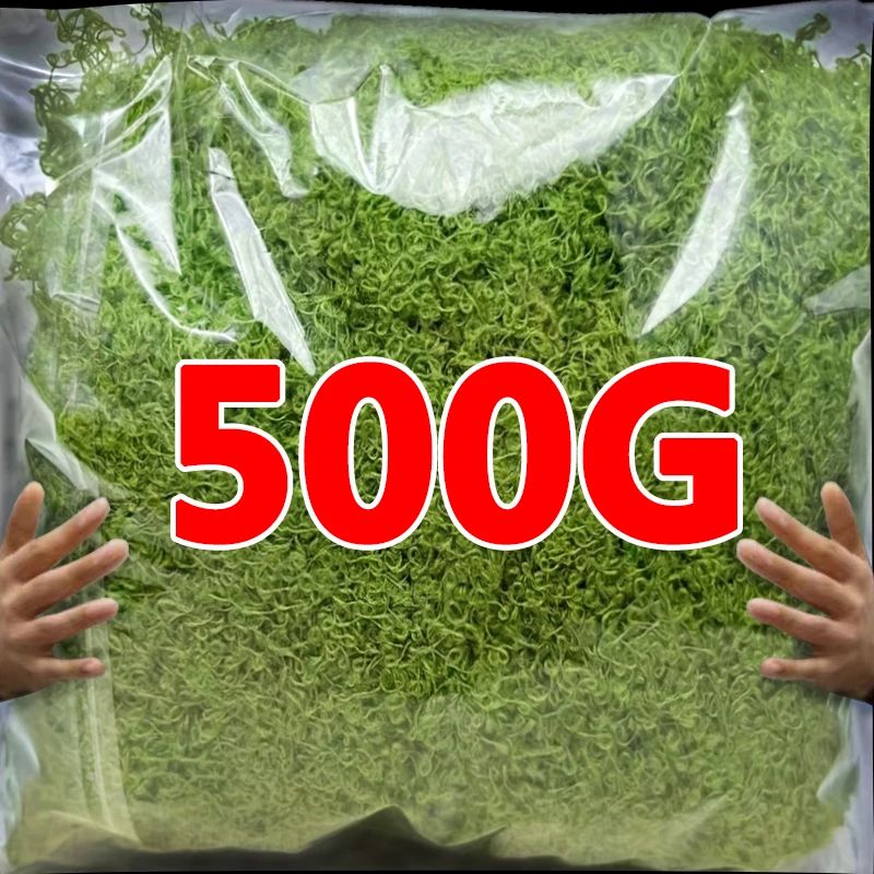 Artificial Moss Mini Landscape Grass for DIY Crafts and Decor