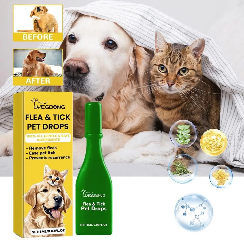 Natural Anti-Flea & Tick Drops for Dogs and Cats – Relieve Itching & Remove Lice
