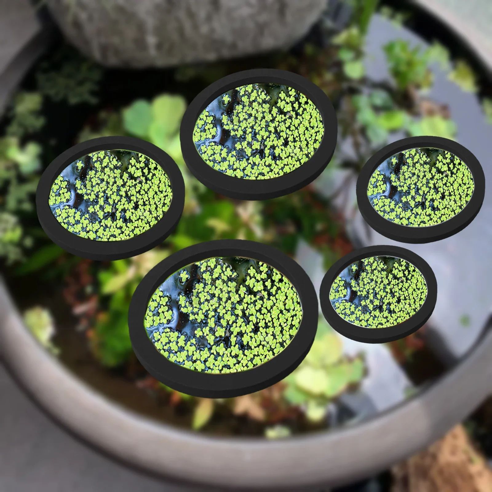 EVA Foam Aquarium Feeding Ring Set (5 Sizes) Floating Plant Corral Pack of 5