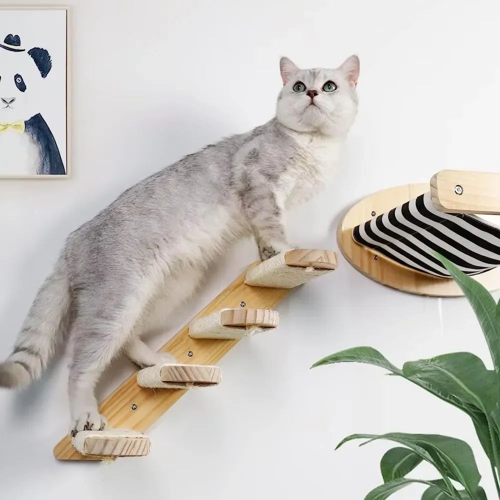 Wall Mounted Wooden Cat Climbing Hammock Set