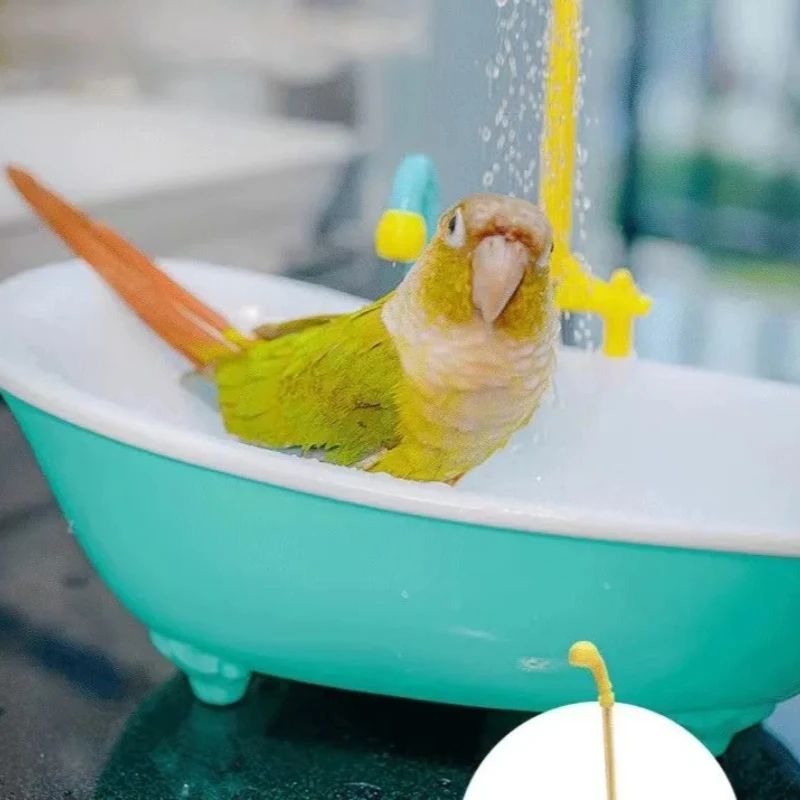 Automatic Parrot Bird Bath Shower