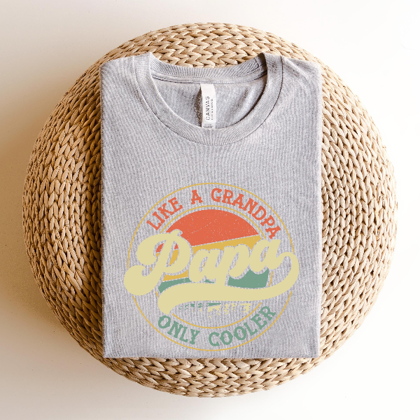 Funny Papa Shirt Best Dad Tee Fathers Day Gift