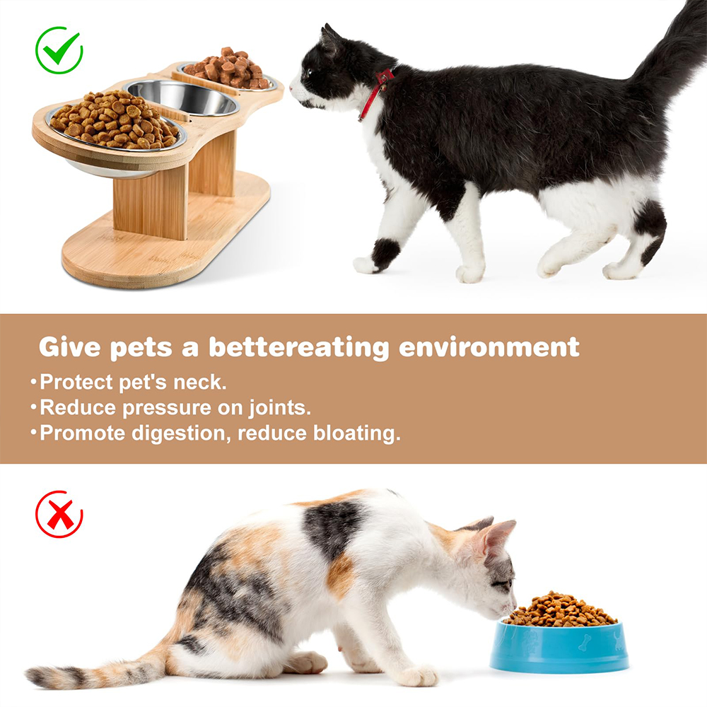 Raised Cat Feeder Stainless Steel Bowls with Wooden Stand, Tilt for Comfortable Feeding