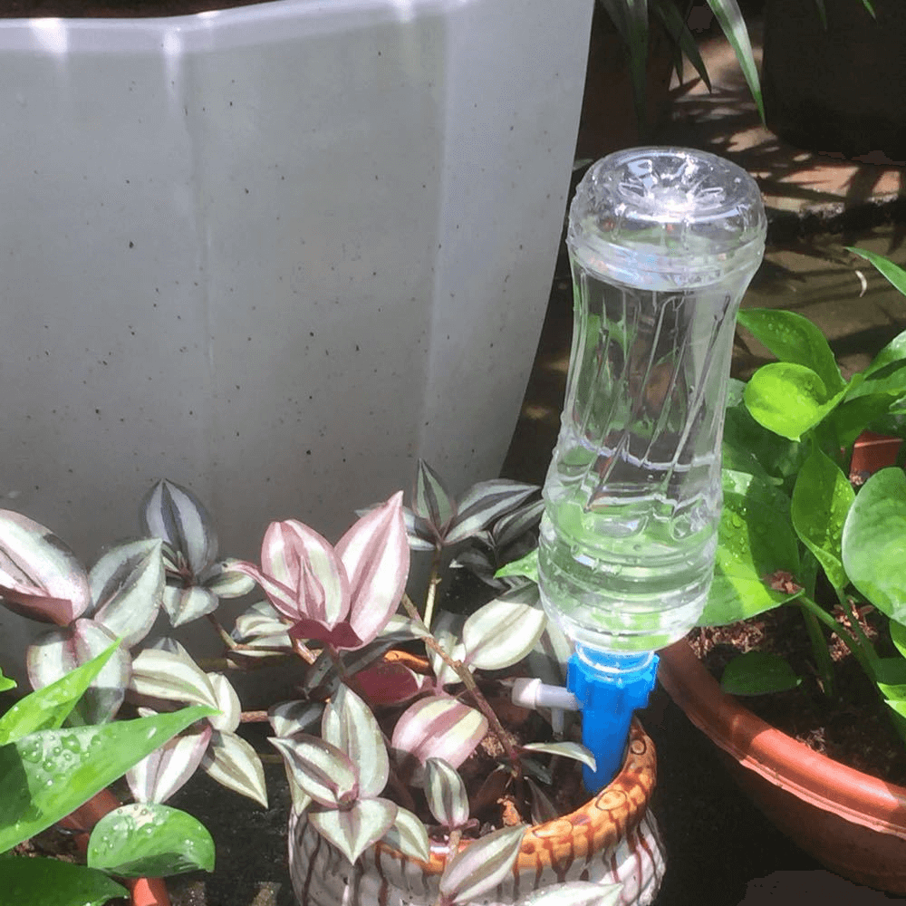 Plant Water Funnel (12 Pcs)