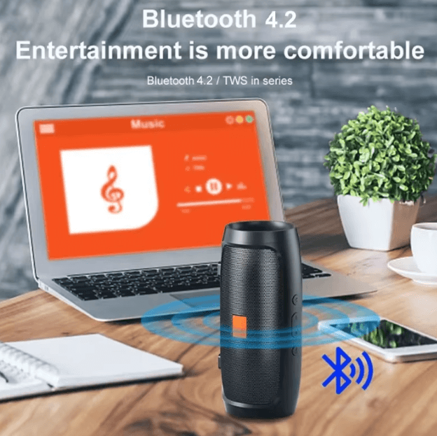 Portable Bluetooth Speaker Dual Stereo Subwoofer Wireless Sound Box with FM, TF & USB Playback