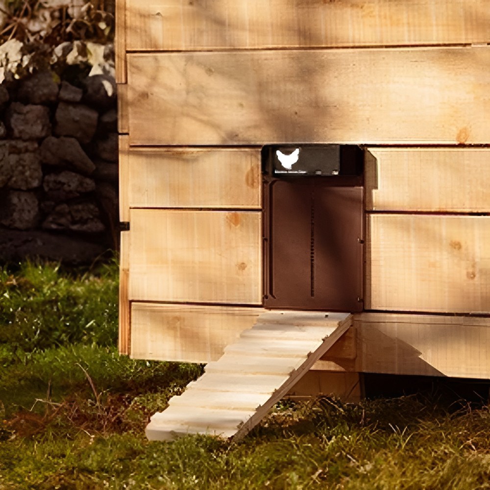 Poultry Farm Automatic Chicken House Door