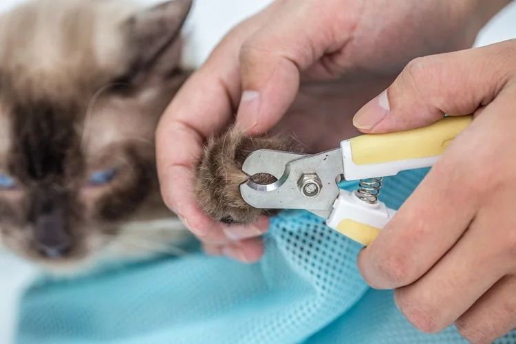 Mesh Cat Grooming Bath Restraint Bag