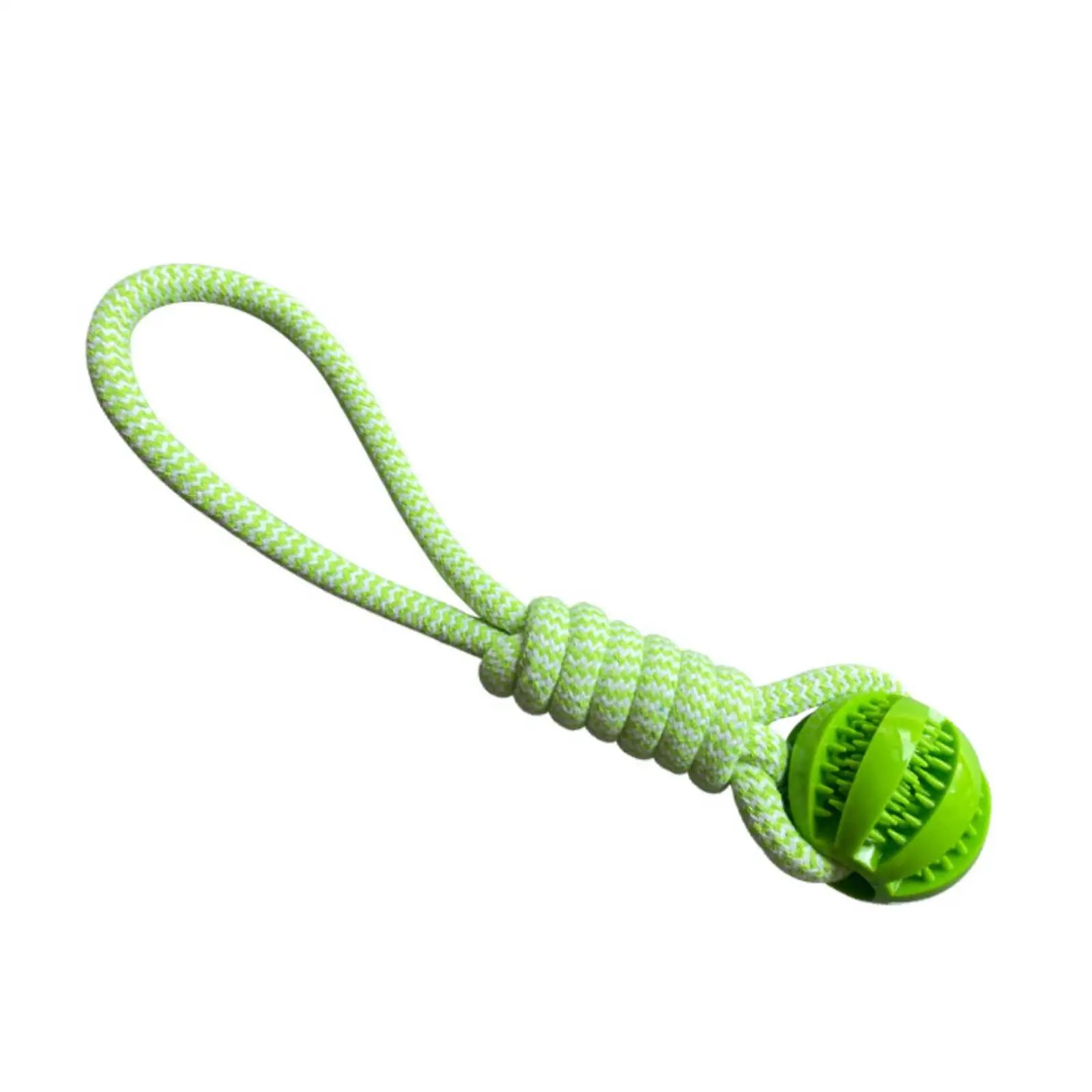 Interactive Chew And Treat Dog Toy Balls