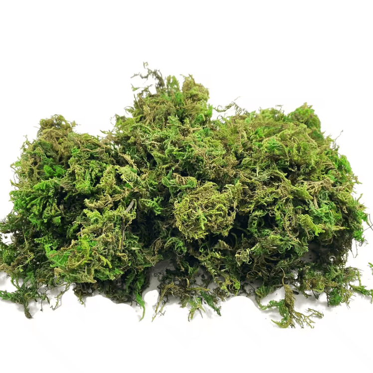Lush Green Artificial Moss Filler – Realistic Faux Moss for Crafts & Decor