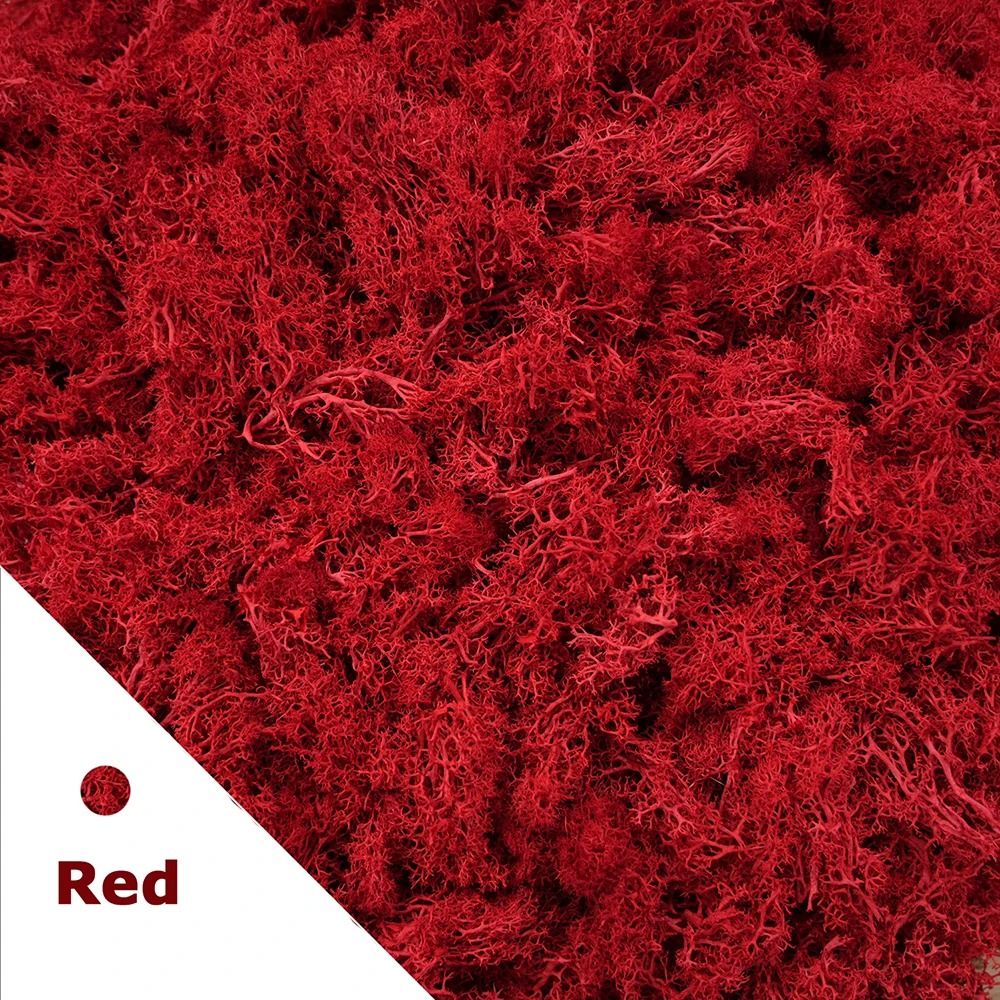 Premium Eternal Life Preserved Artificial Moss Grass