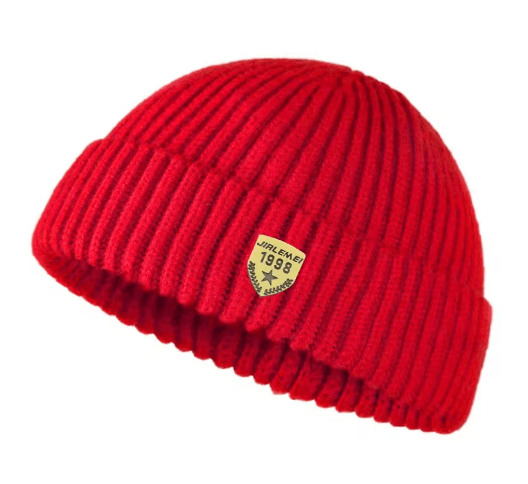 Mens Autumn and Winter Knitted Wool Hat Unisex Street Melon Skin Beanie with 1998 Logo