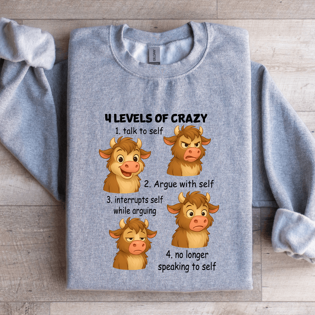 4 Levels Of Crazy 1 Talk To Self Sweatshirt