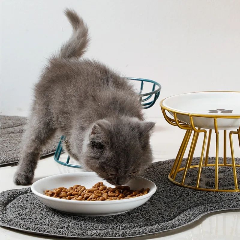 Elevated Ceramic Pet Food Bowl with Stand