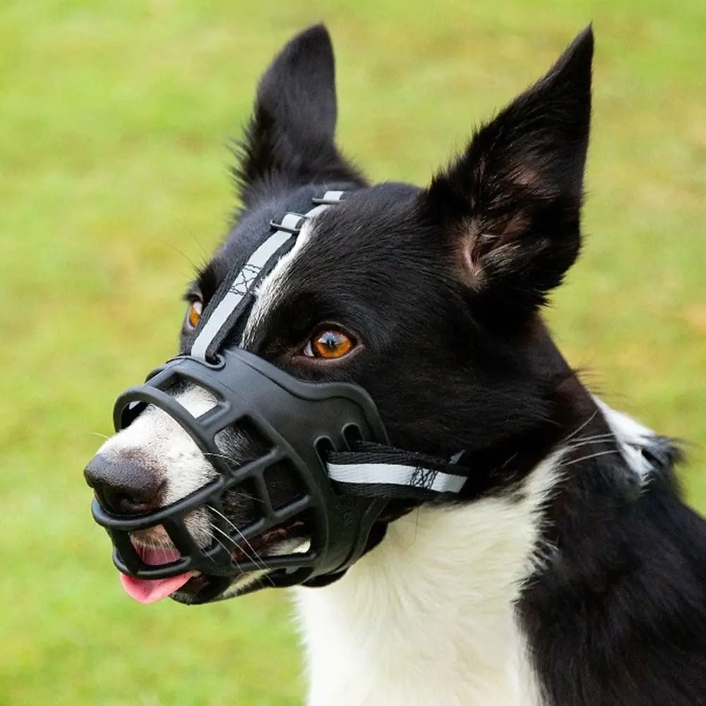 Adjustable Breathable Dog Muzzle for Barking Chewing and Safety
