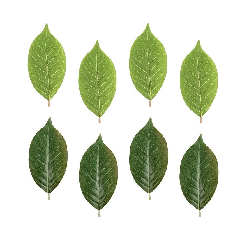 Artificial Magnolia Leaves Set Floral Arrangement DIY Greenery Decor