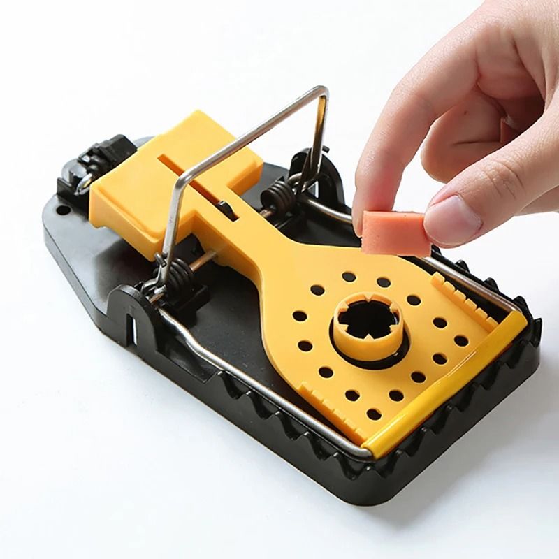 Universal Humane Mouse Capture Trap Set of Four