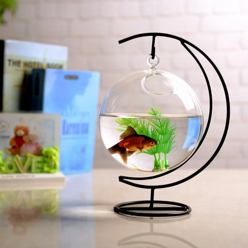 Suspended Transparent Hanging Glass Fish Tank Infusion Bottle Aquarium