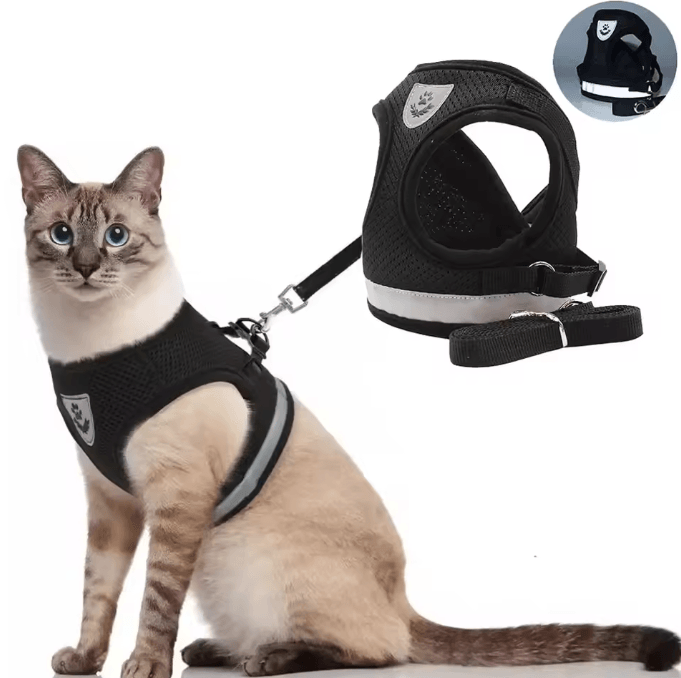 SafePaw Reflective Escape-Proof Cat Harness & Leash Set