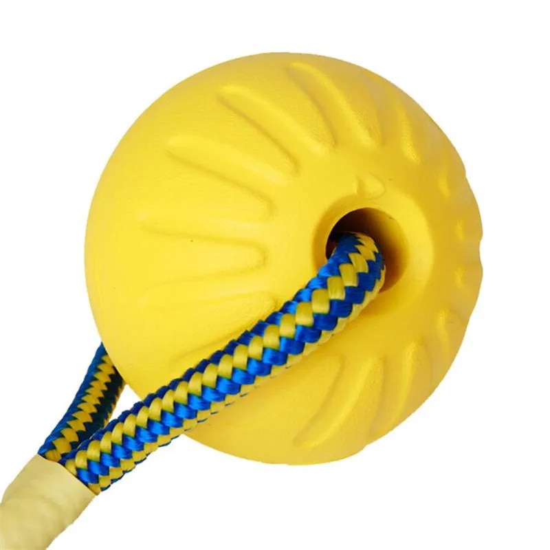 Solid Rubber Ball: Durable Dog Toy for Training & Play - Small to Large Dogs