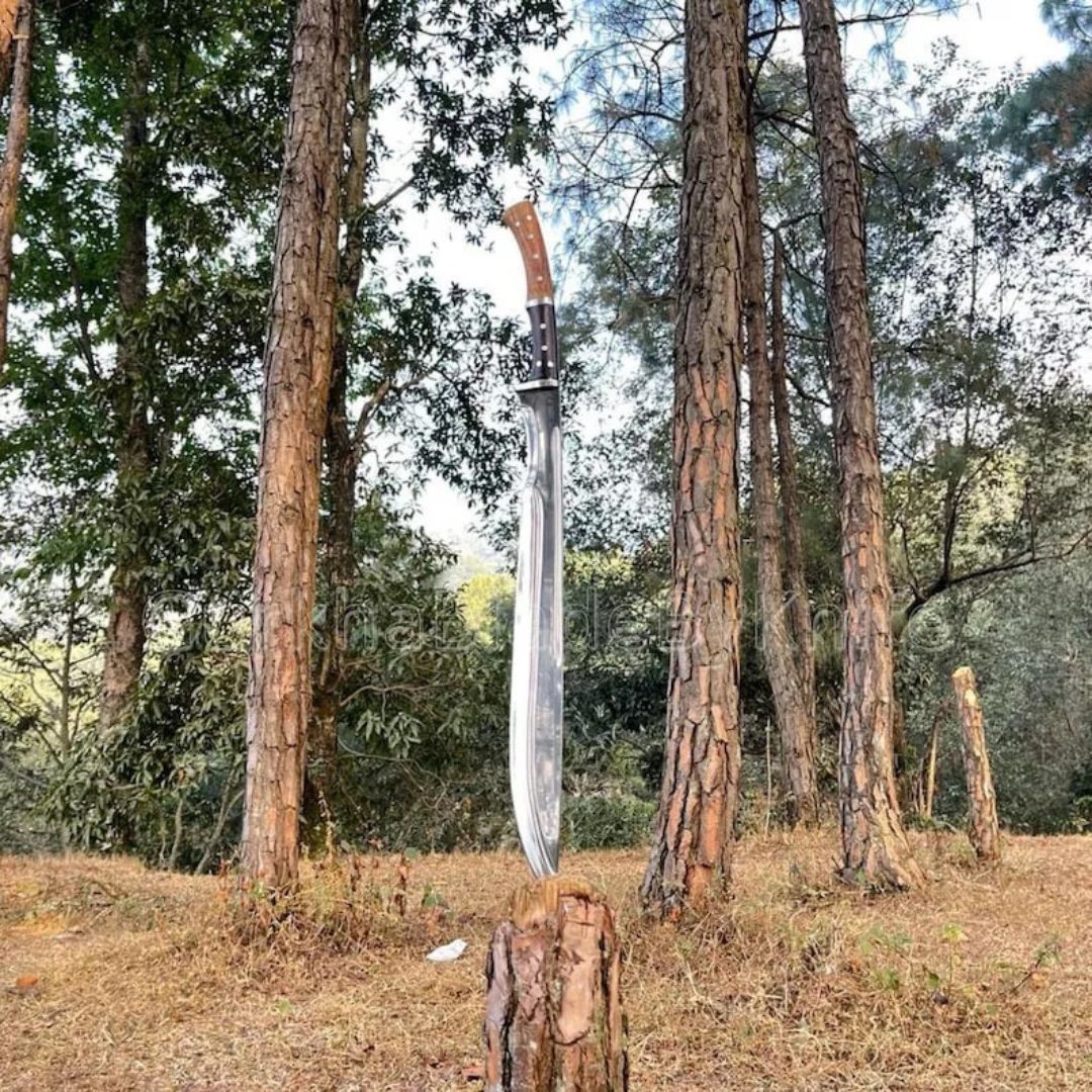 Custom Handmade Carbon Steel Sword Hunting Survival Sword Full Tang Camping Tool