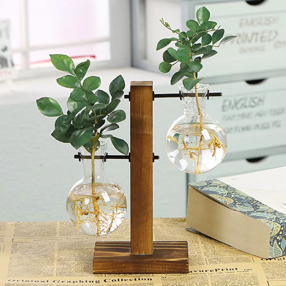 Creative Glass Bulb Vase with Wooden Stand – Hydroponic Plant Container for Home Tabletop Decor