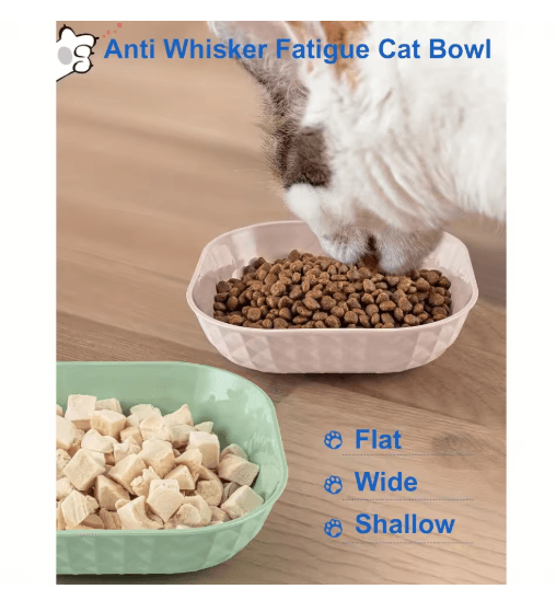6PCS Non Slip Cat Bowls Set Shallow Whisker Relief Dishes with 5.5in Wet Food Plates