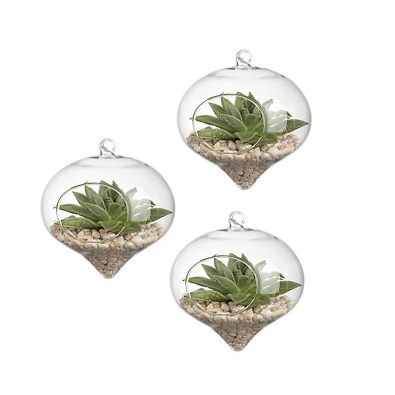 Terrarium Glass Ball Hanging Flower Vase