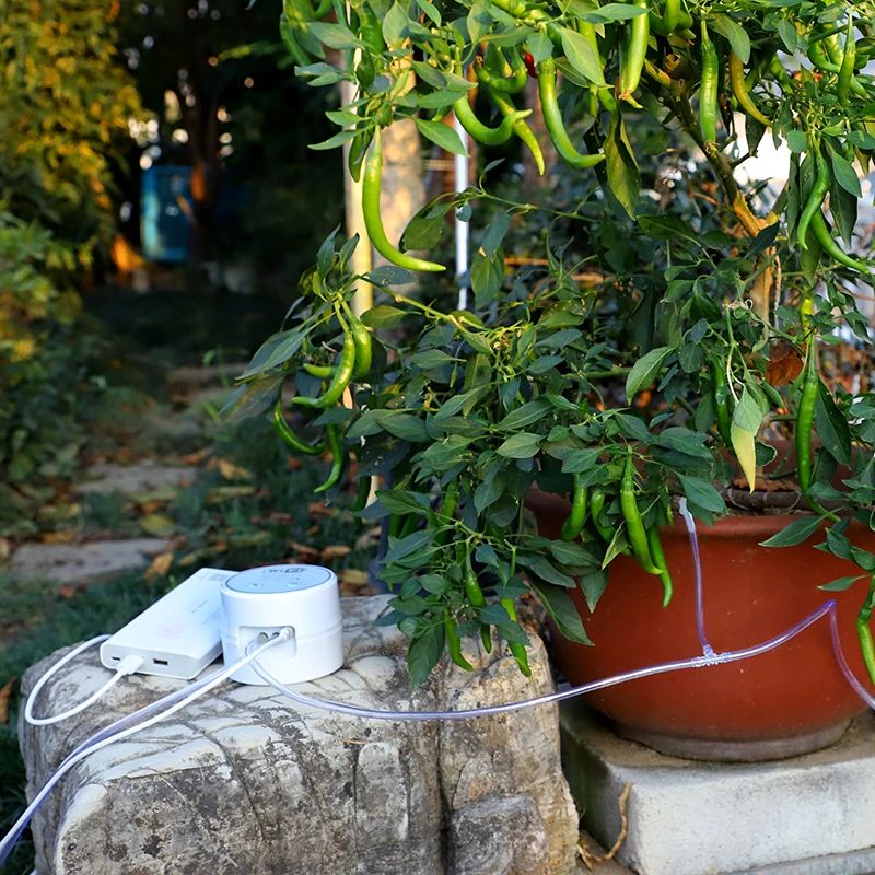 Smart Garden WiFi Irrigation Controller & Automatic Drip Irrigation System