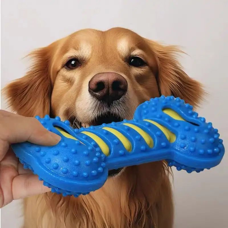 Rubber Bone Squeaky Dog Chew Toy