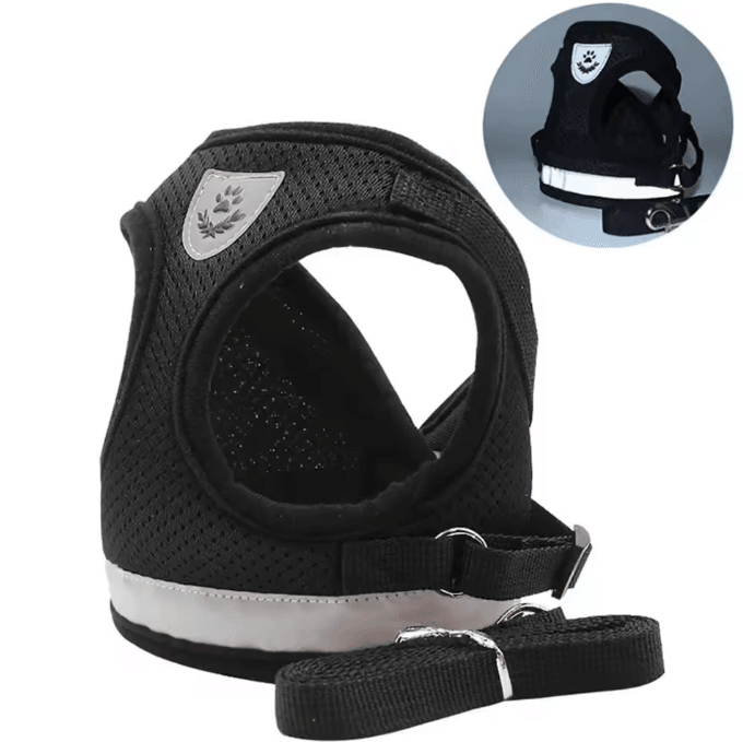 SafePaw Reflective Escape-Proof Cat Harness & Leash Set