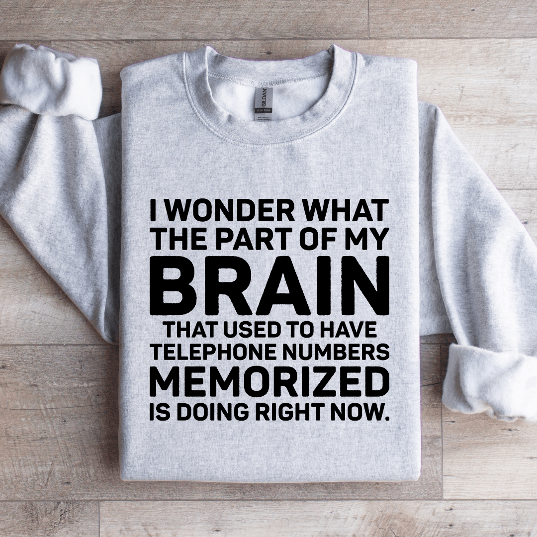 I Wonder What The Part Of My Brain Sweatshirt