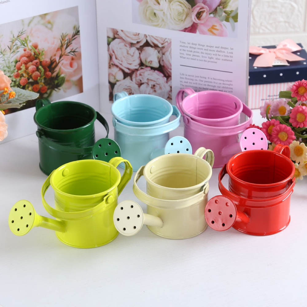 Large Capacity Metal Watering Can Perfect for Kids & Adults Small Garden Flower Spraying Pot