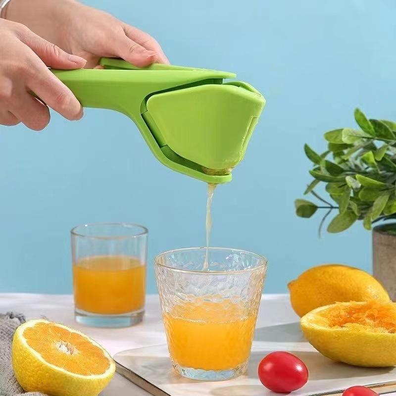 Stainless Steel Lemon Squeezer Manual Citrus Press for Lemon Lime and Orange