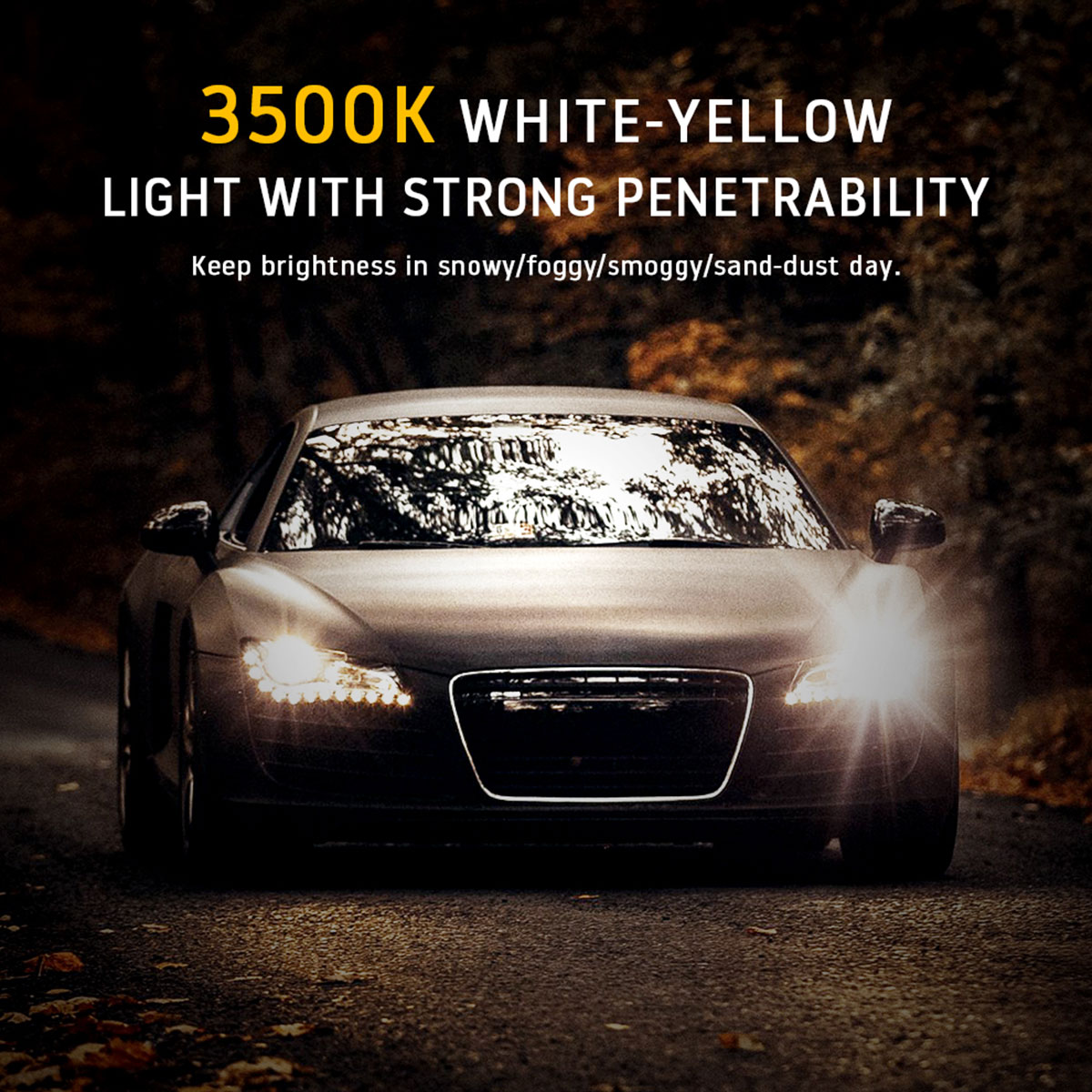 Car Fog Light Halogen Bulbs, Super Bright Car Headlight Bulbs, LED Bulbs Auto Parking Lamp Xenon Head lamp