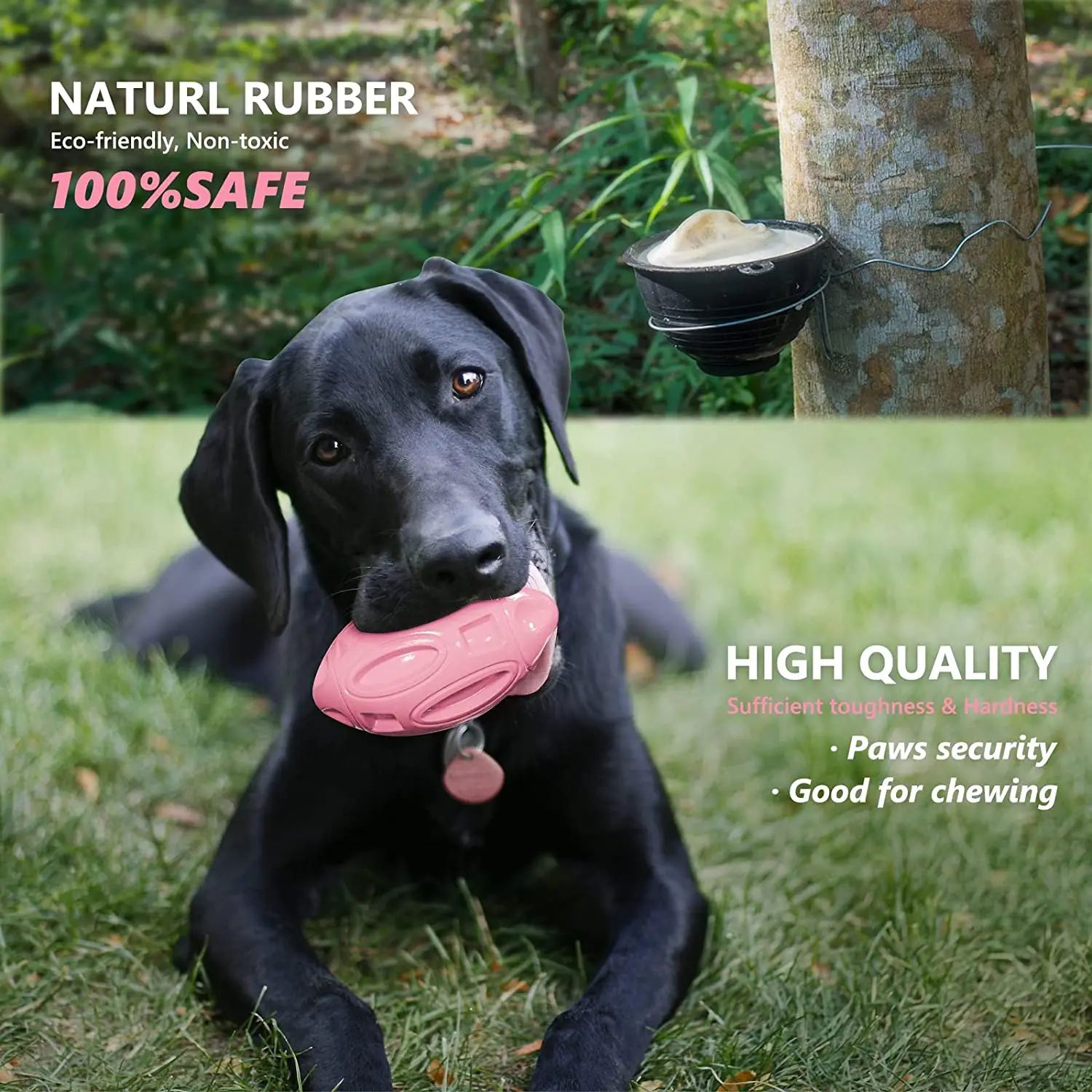 Durable Squeaky Rubber Chew Ball – Teeth Cleaning Toy for Aggressive Chewers (Medium & Large Dogs)