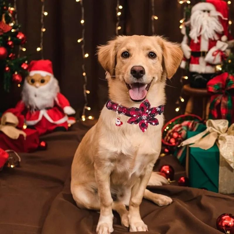 Christmas Dog Collar with Classic Plaid Bow Tie