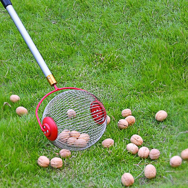 Rolling Nut Picker, Adjustable Nut Gatherer Manual Tool for Walnuts, Pecans, Golf Balls, Lightweight Outdoor Collector