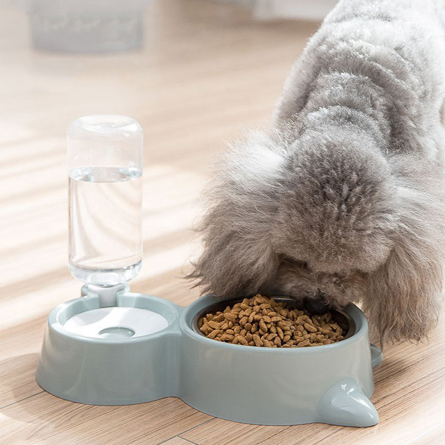 Anti-Spill Automatic Feeding & Drinking Bowl Set for Dogs and Cats