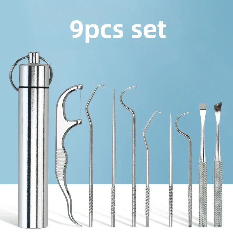 Stainless Steel Reusable Toothpick Set