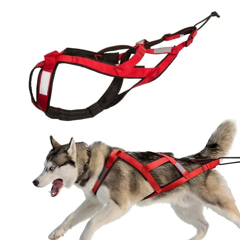 Dog Outdoor Sled and Weight Training Harness