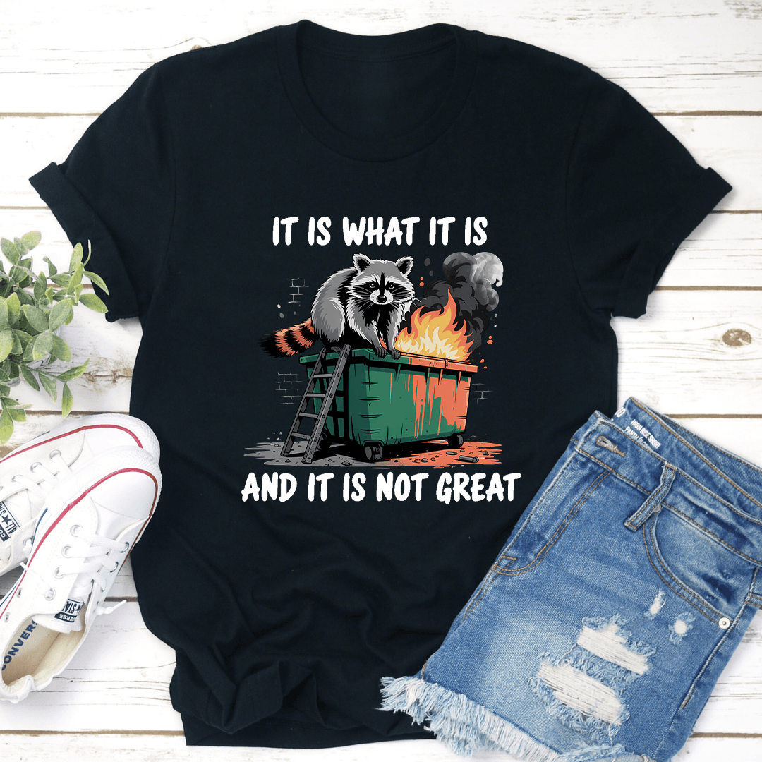 It Is What It Is And It Is Not Great Tee