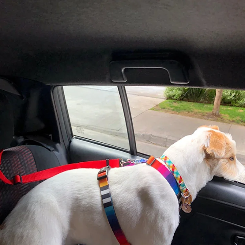 Adjustable Two in One Pet Car Seat Belt Leash for Dogs & Cats